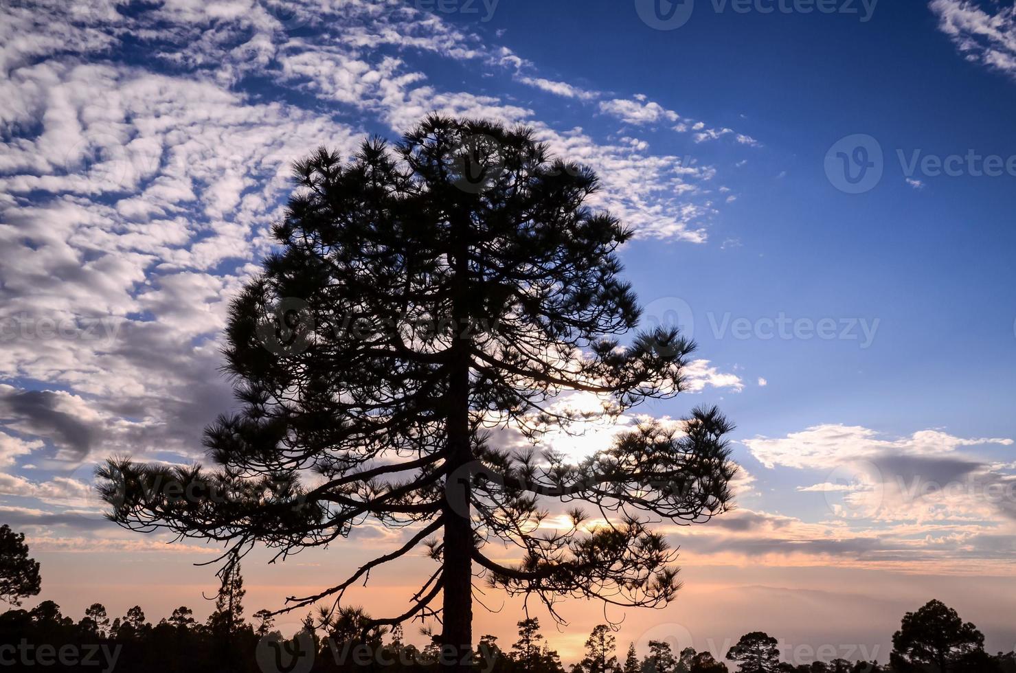 landschap over- de zonsondergang foto