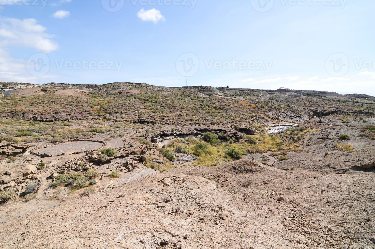 landschap in de zomer foto