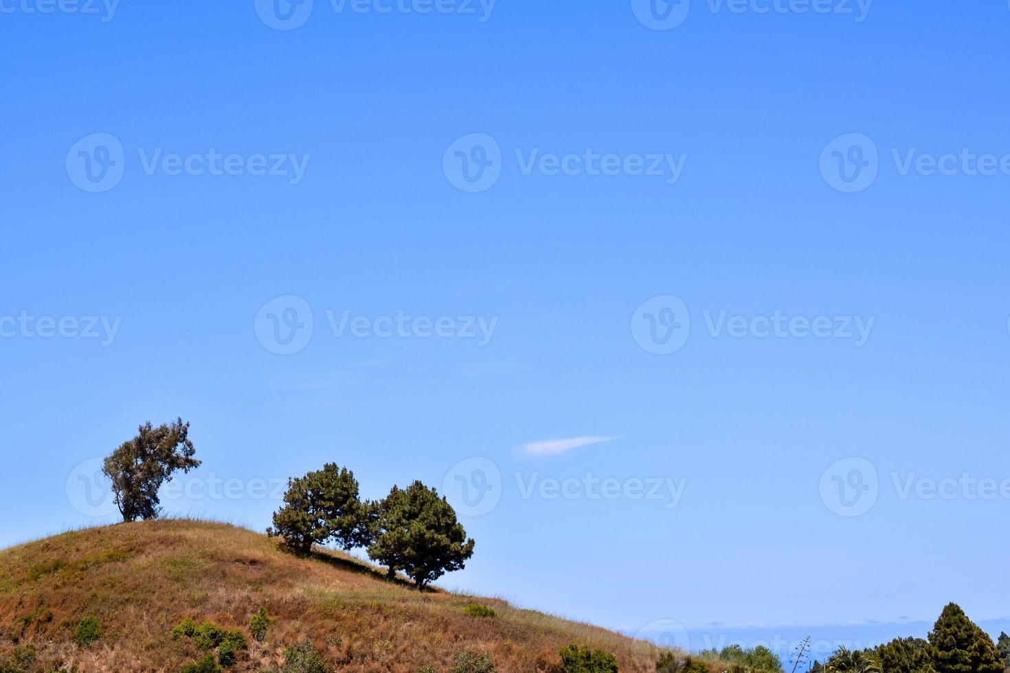 landschap in de zomer foto