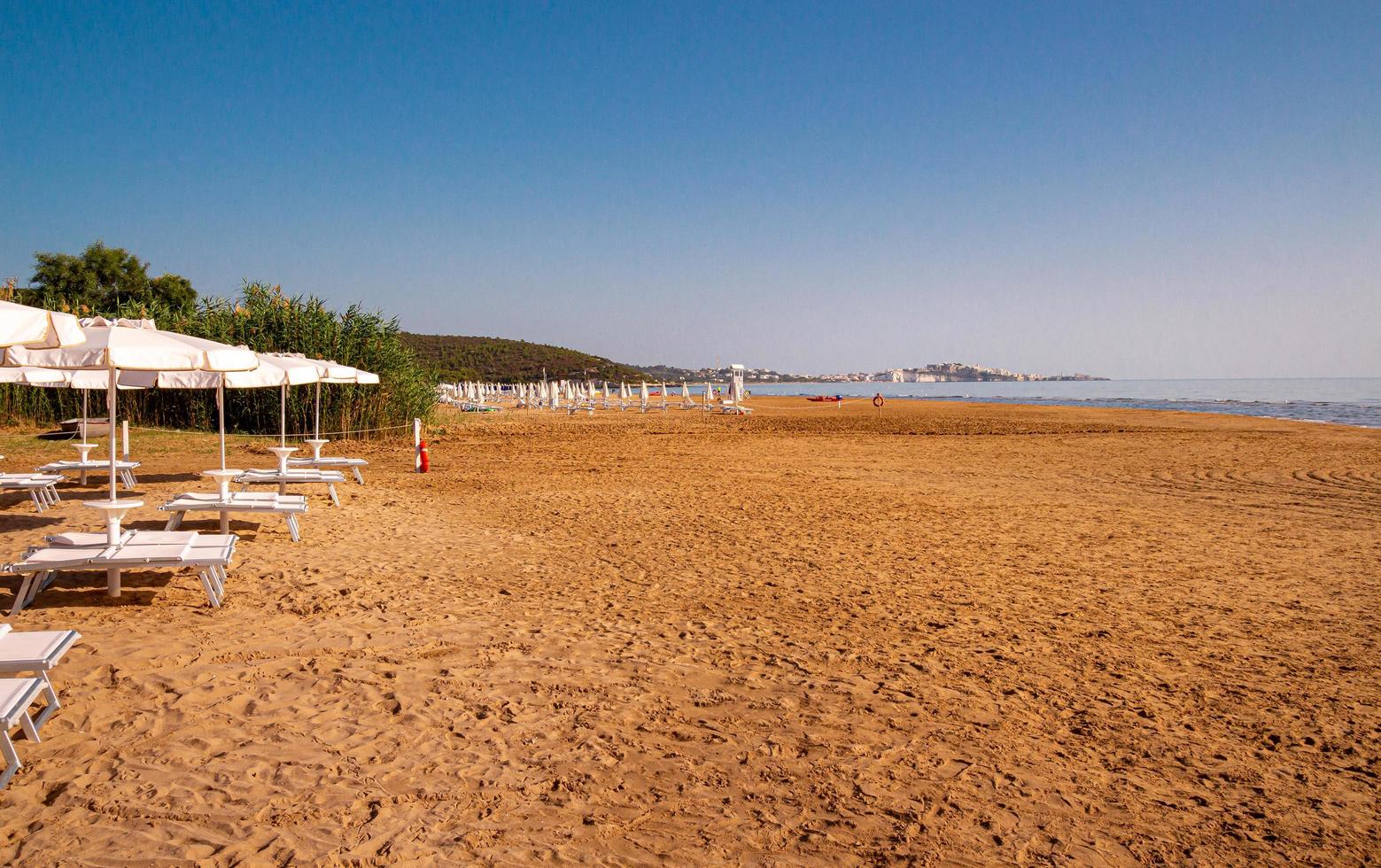 spiaggia di portuovo strand, een zanderig zonsopkomst strand en in achtergrond Aan kalkachtig rotsen de oude stad van vieste en de monoliet pizzomunno, gargaan, Italië foto