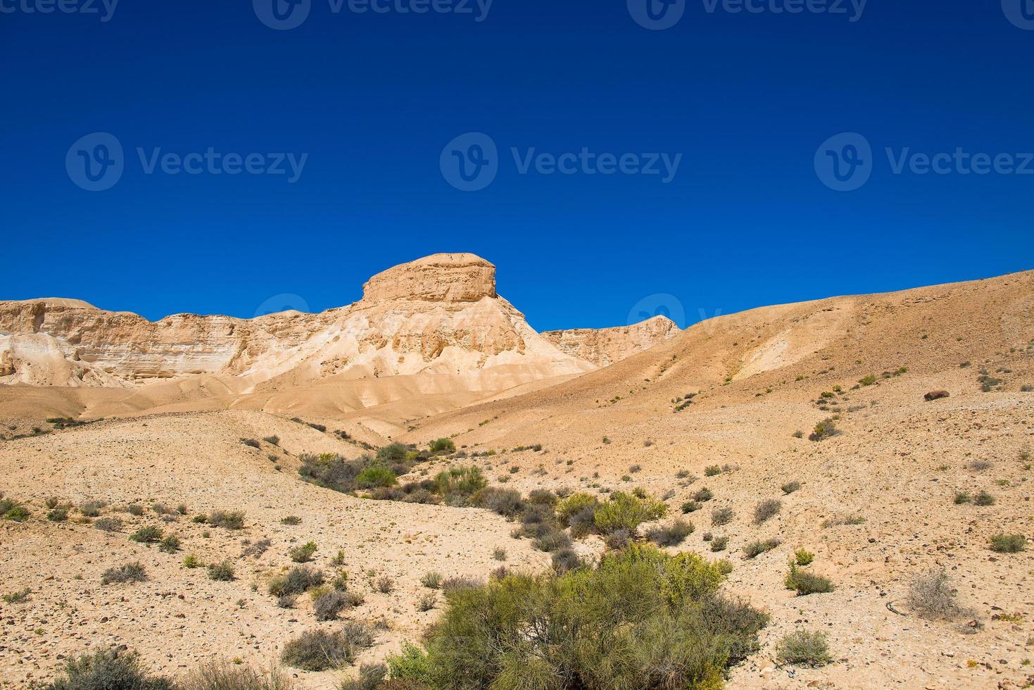 woestijn van de Negev, Israël foto
