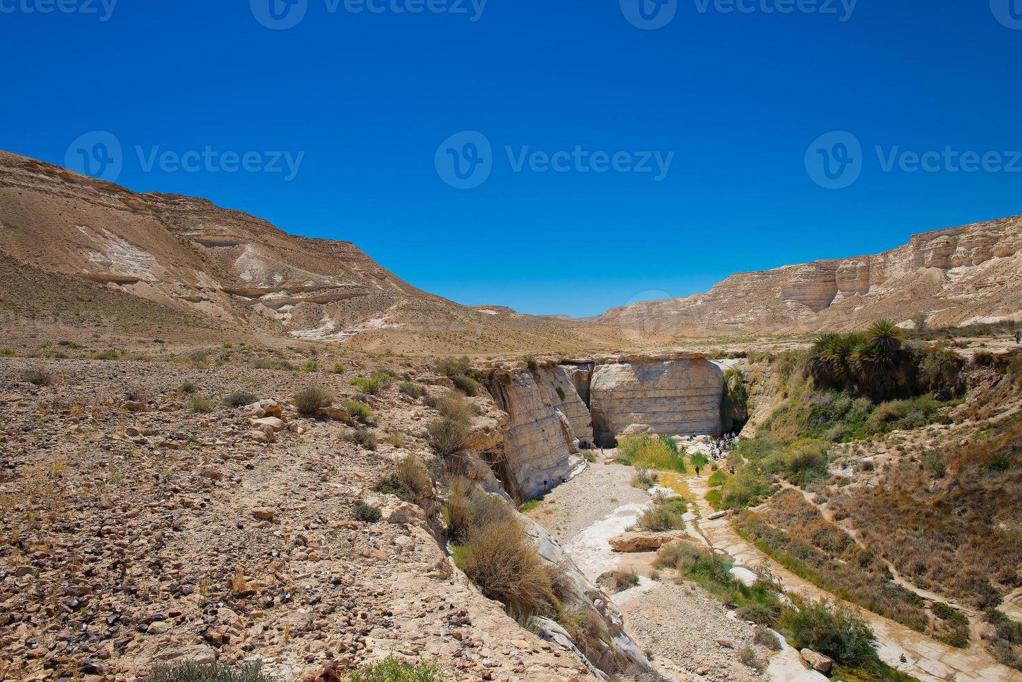 plas van agar in de woestijn in Israël foto