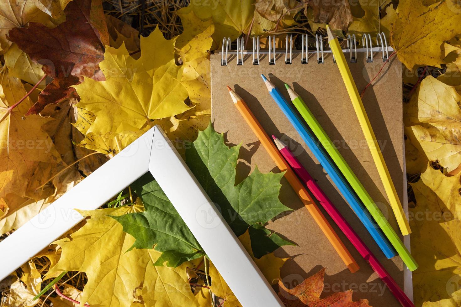 schetsboek, gekleurde potloden, wit kader Aan de achtergrond van herfst esdoorn- bladeren, artistiek ontwikkeling concept foto