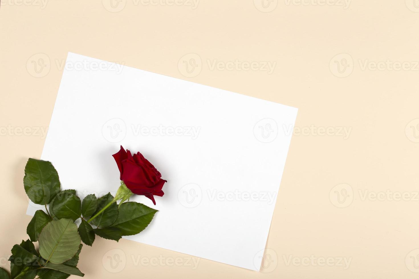 Aan een beige achtergrond, een mooi bloem en een wit blanco vel. rood roos Aan een wit vel van papier. foto