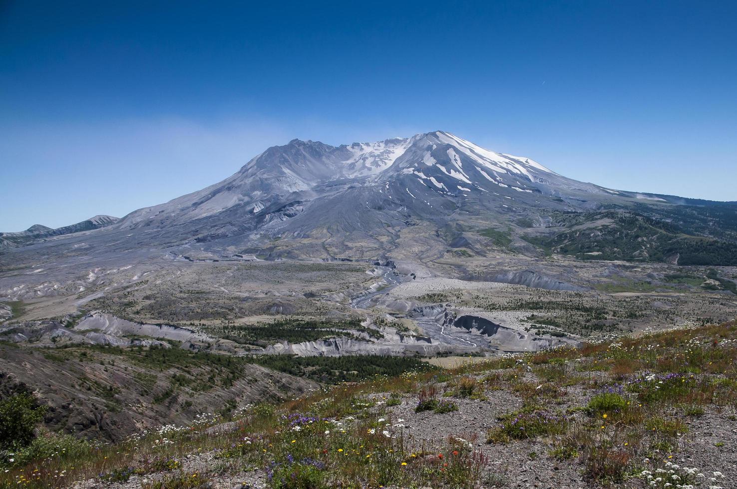 mt. st. helends en wild bloemen foto