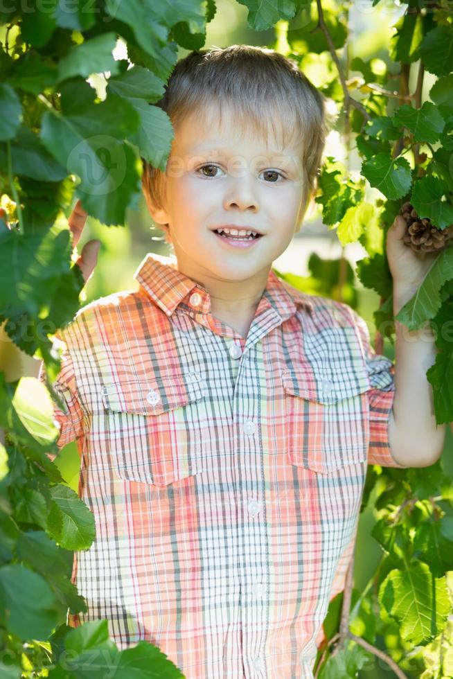 weinig glimlachen jongen foto