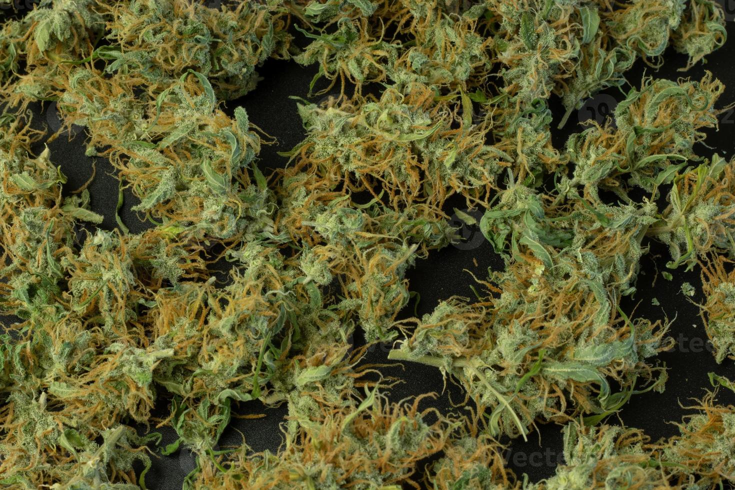 hennep achtergrond, marihuana bloemknoppen detailopname, onkruid vlak leggen mockup foto