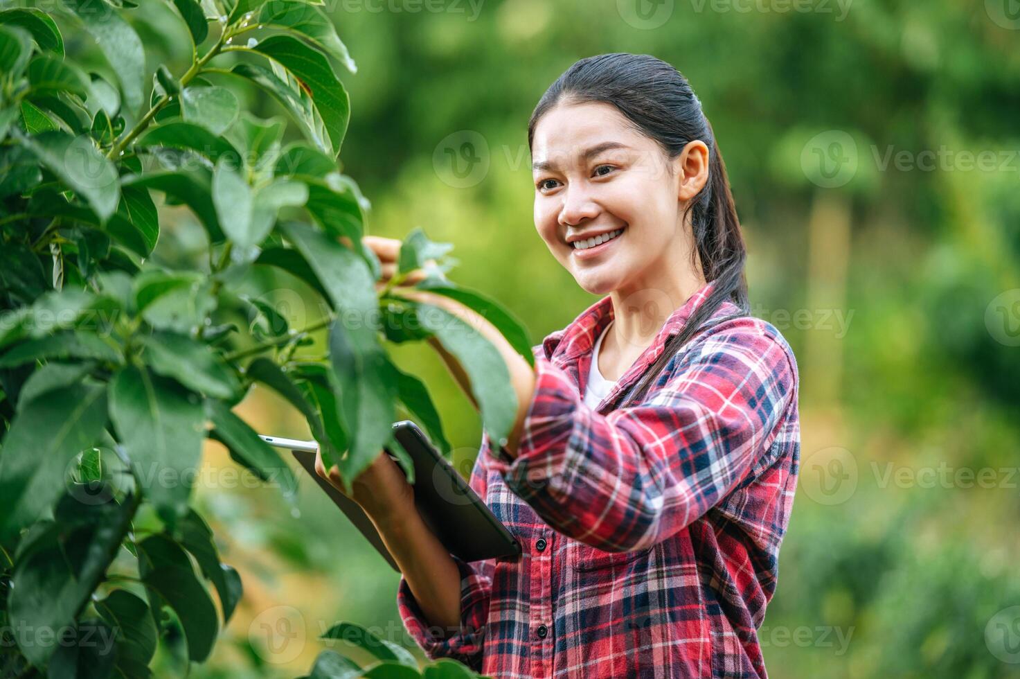 Aziatisch jong vrouw boer met een tablet in haar handen onderzoekt de groen veld. modern technologieën in landbouw beheer en agribusiness concept. foto