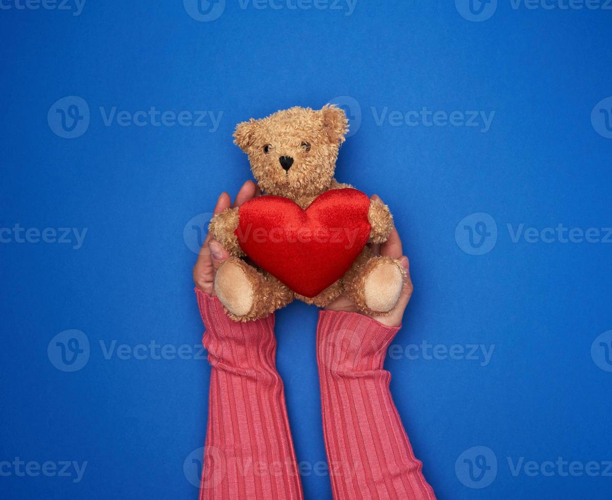 twee vrouw handen houden een klein speelgoed- teddy beer foto