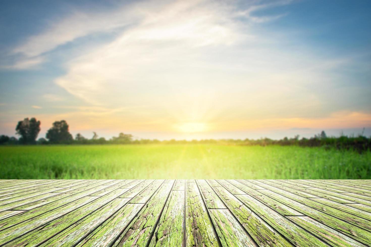 houten vloerplaten met natuur achtergrond foto