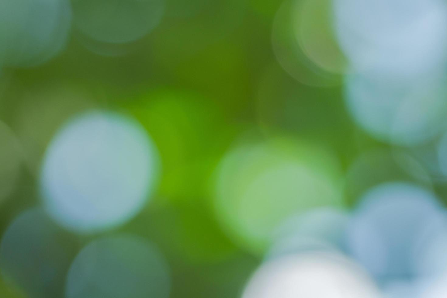 groene bokeh achtergrond foto