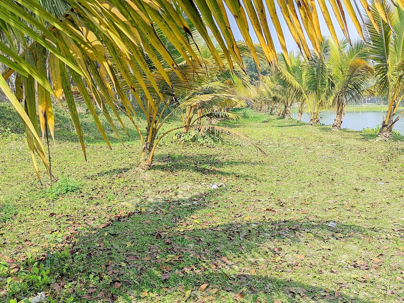 natuurlijk dorp visie foto