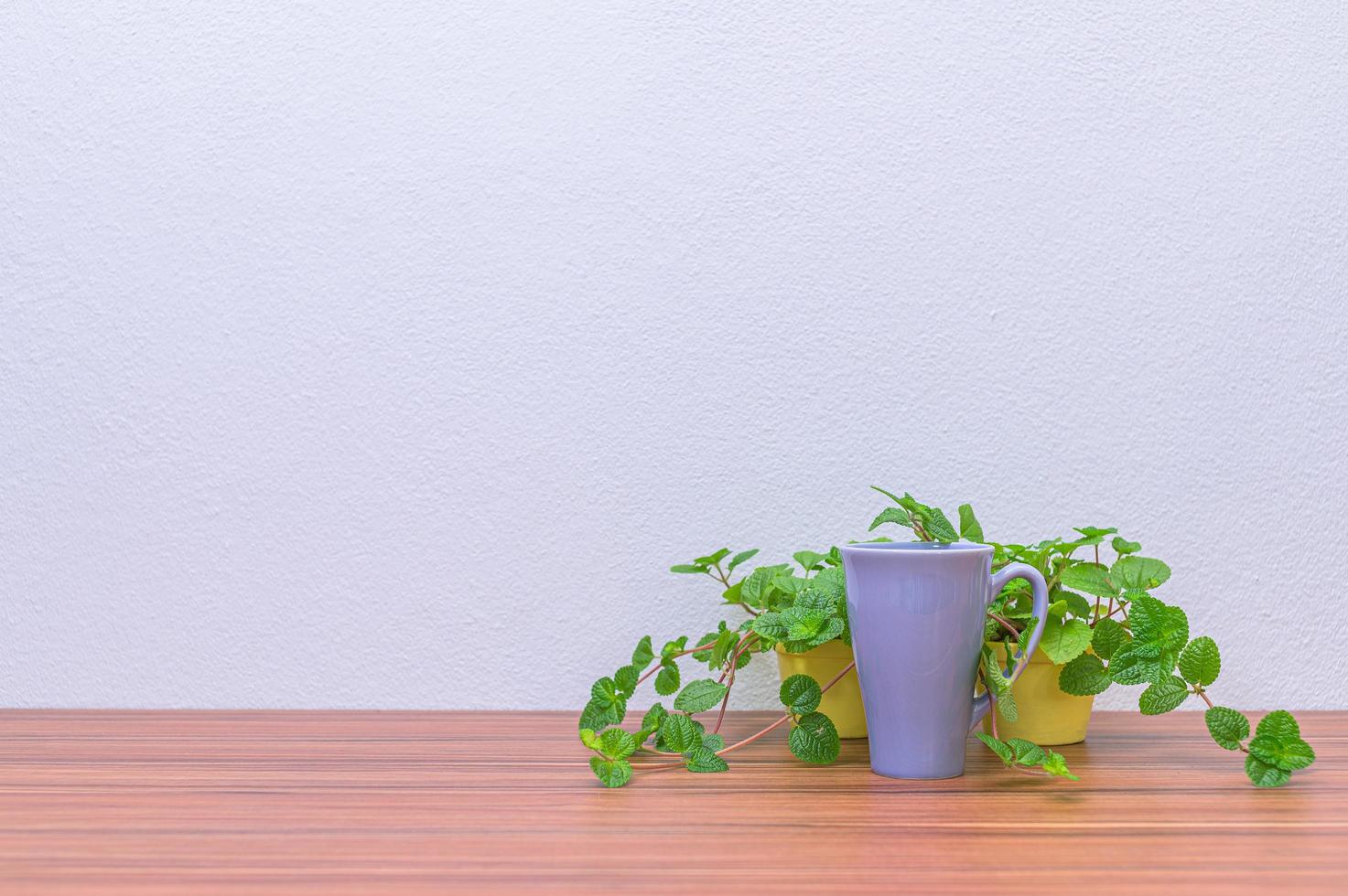 koffiemok en planten op het bureau foto