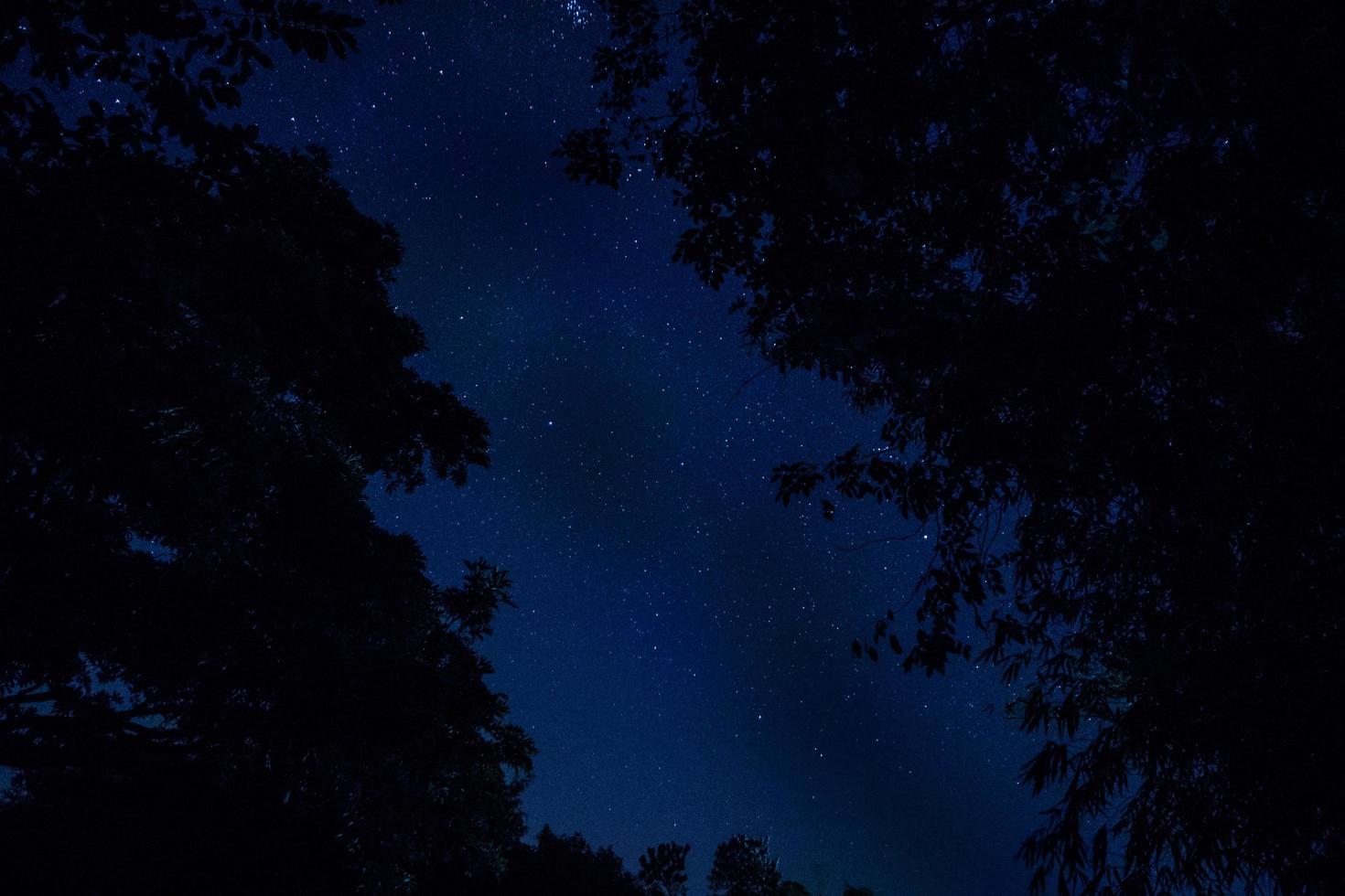 sterren 's nachts foto