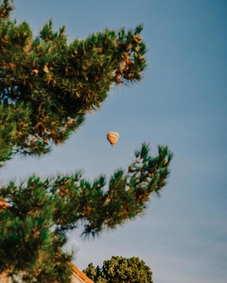 hete luchtballon die overdag over groene pijnboom vliegt foto