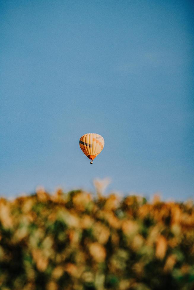 hete luchtballon in de lucht onder de blauwe hemel overdag foto