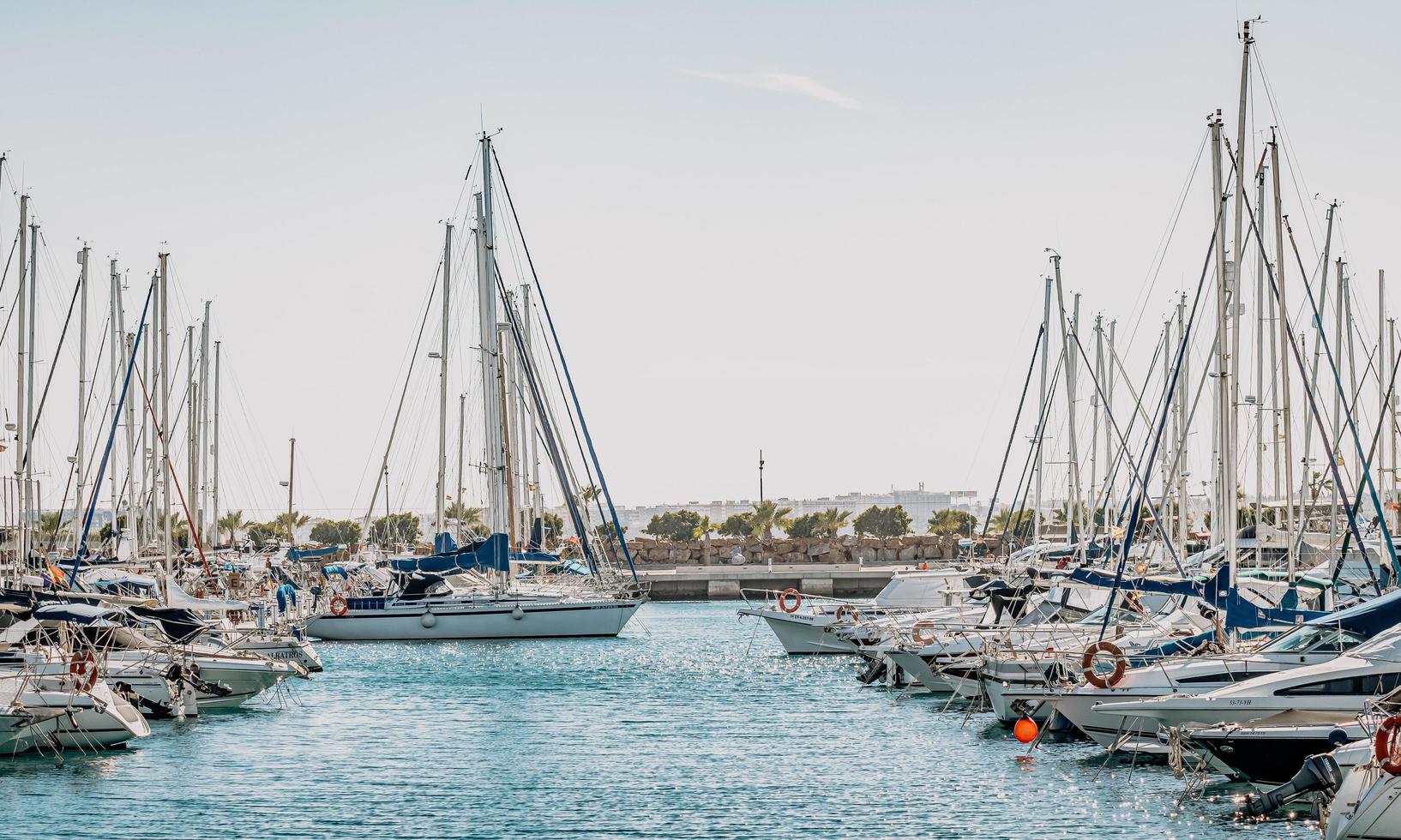 Torrevieja, Spanje, 2020 - Witte en blauwe boten overdag op zee foto