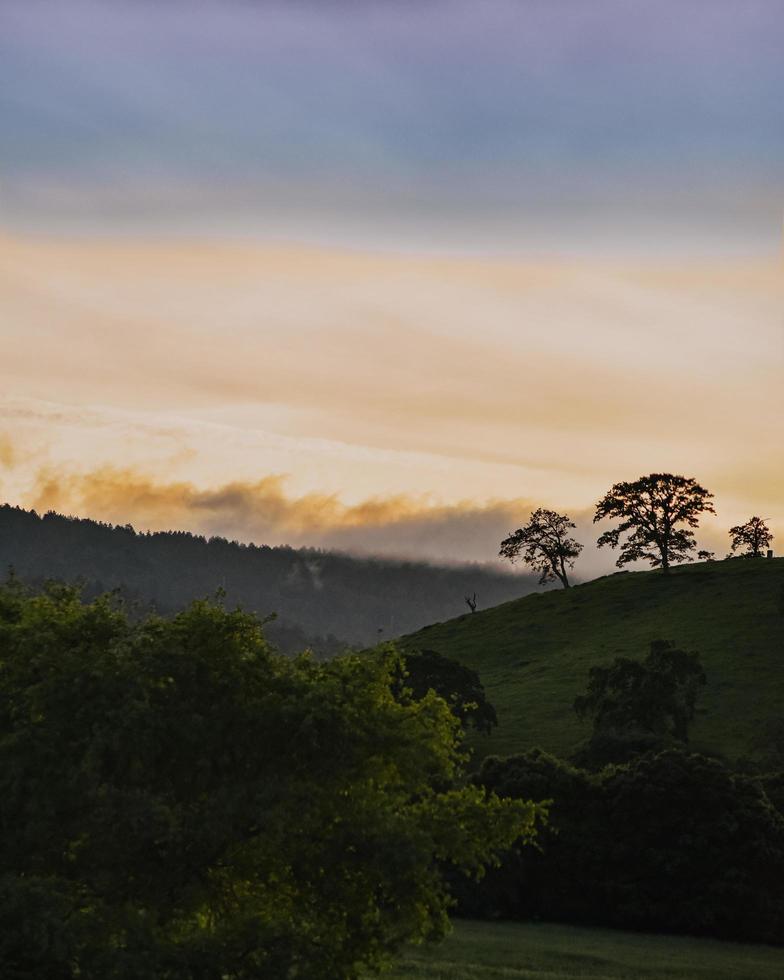 groene bomen op de berg onder witte wolken overdag foto