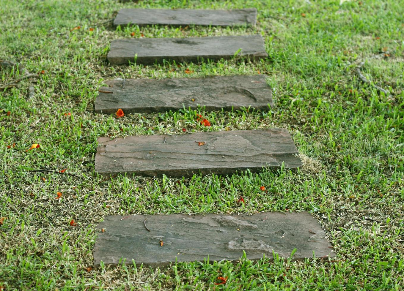 tuin stenen pad met gras foto