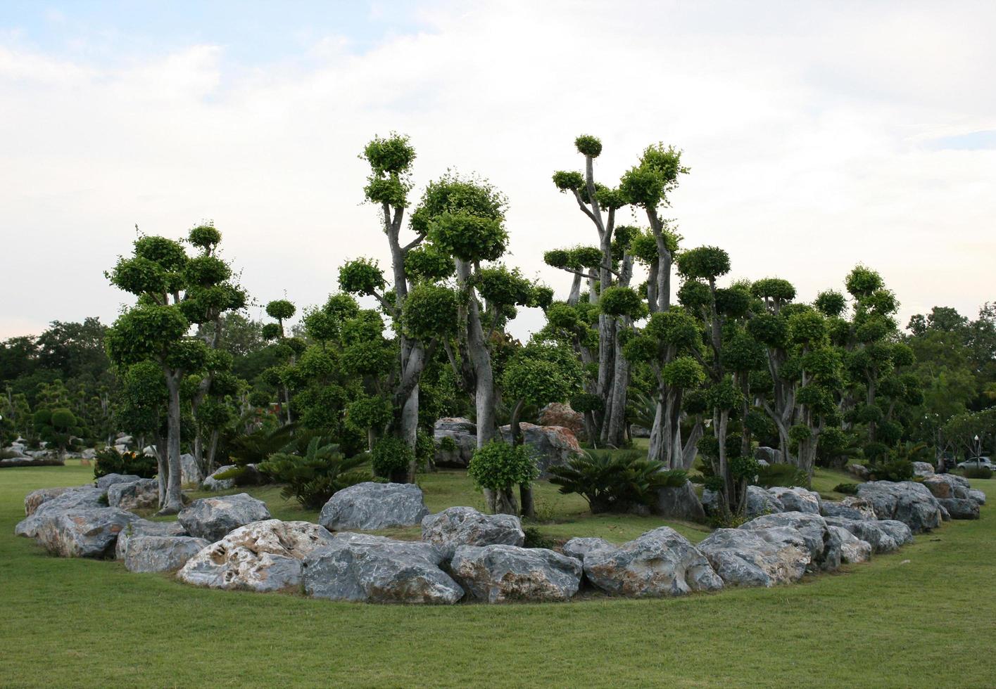 landschapsarchitectuur in de tuin foto