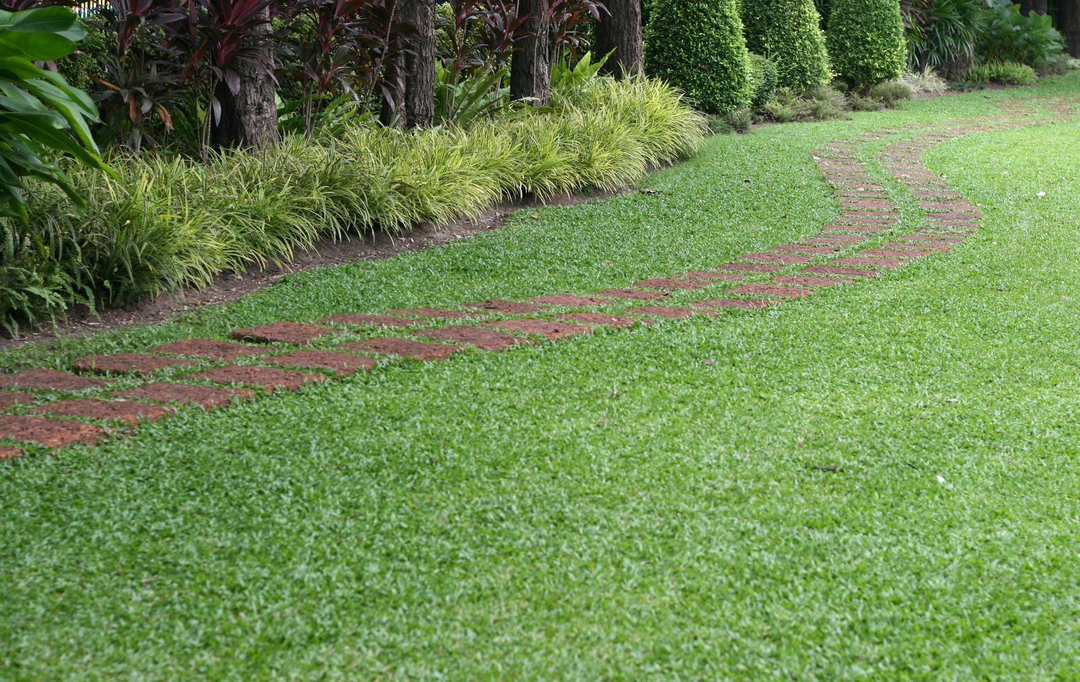 loop weg in groen park foto