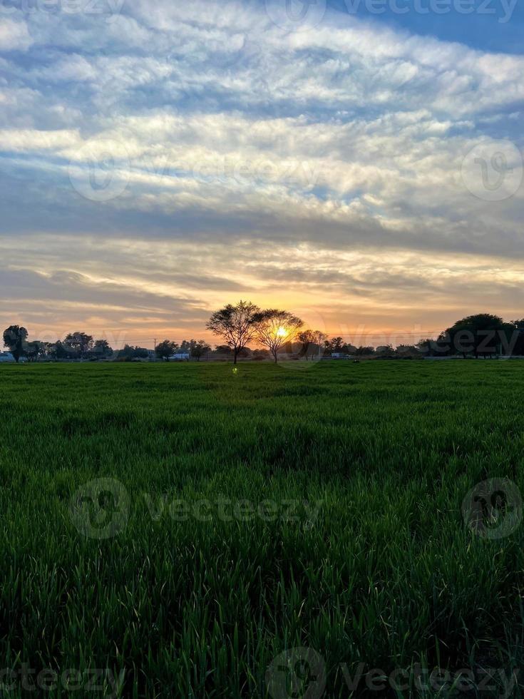 mooi landelijk landschap met mooi helling avond lucht Bij zonsondergang. groen veld- en dorp foto