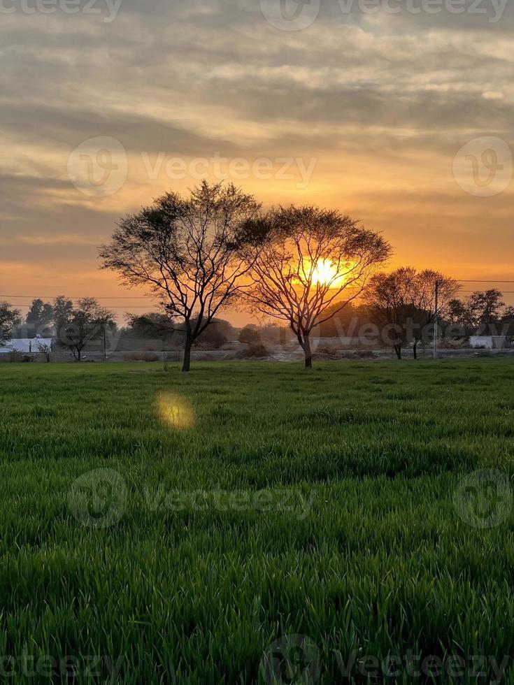 mooi landelijk landschap met mooi helling avond lucht Bij zonsondergang. groen veld- en dorp foto