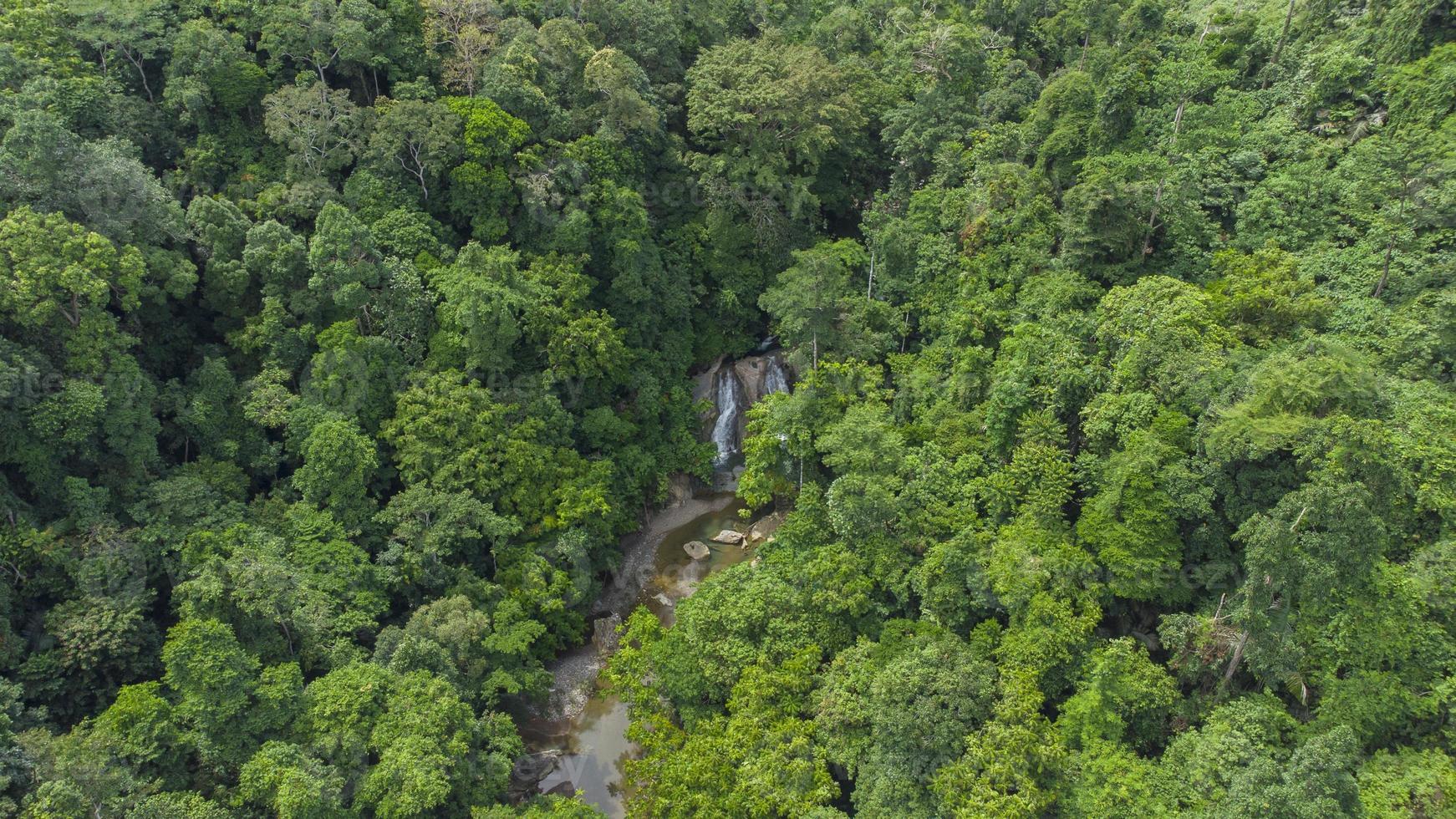 hoog hoek visie van tropisch Woud rivier- foto