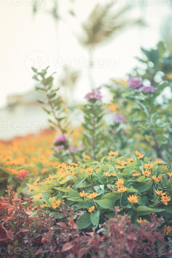 wazig tropisch bloem tuin, natuurlijk zacht zonlicht. helder detailopname natuur, artistiek kleuren en post werkwijze foto