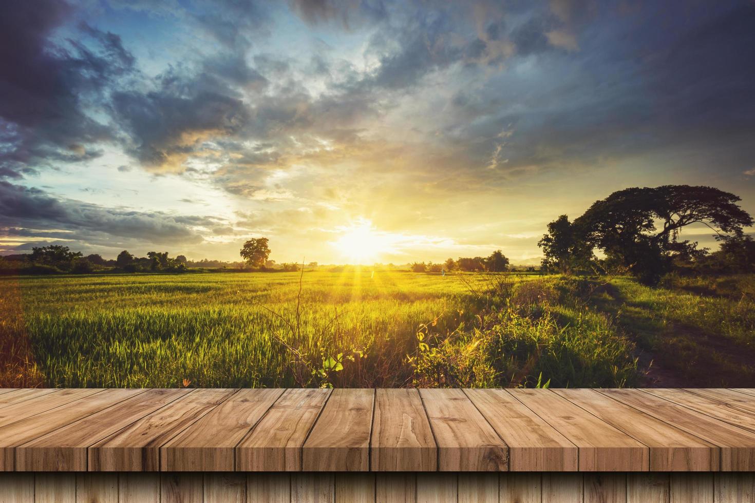 hout tafel en rijst- veld- en zonsondergang blauw lucht met lens gloed, Scherm montage voor Product. foto