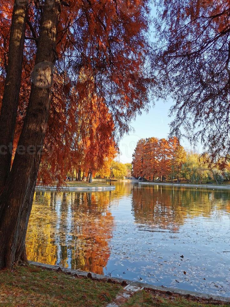 herfst kleurrijk park in Boekarest foto