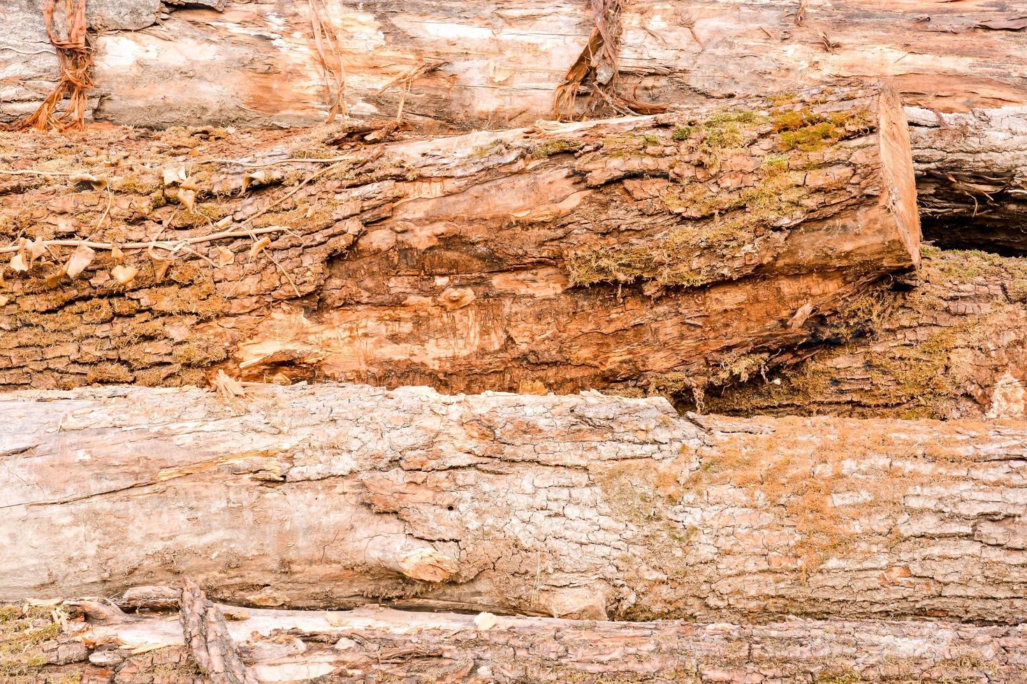 stack van hout logboeken foto