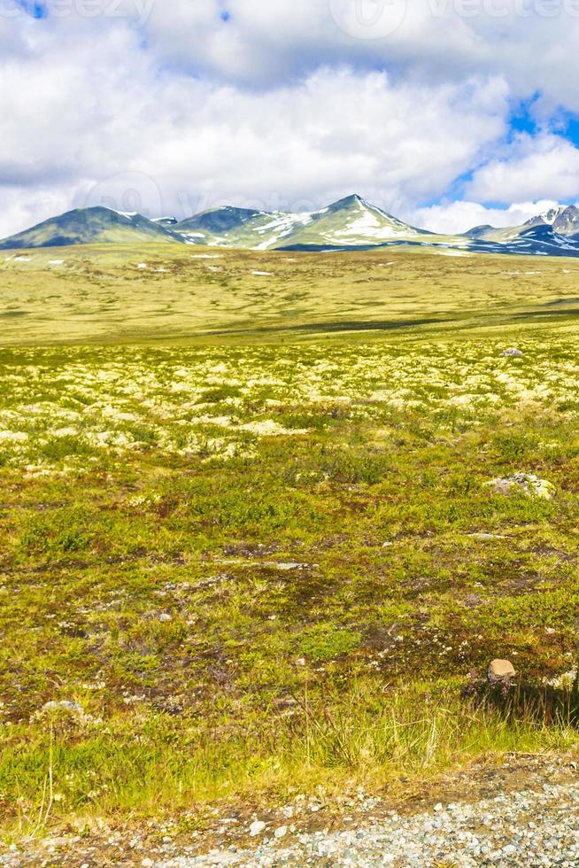 mooi berg en landschap natuur panorama rondane nationaal park Noorwegen. foto