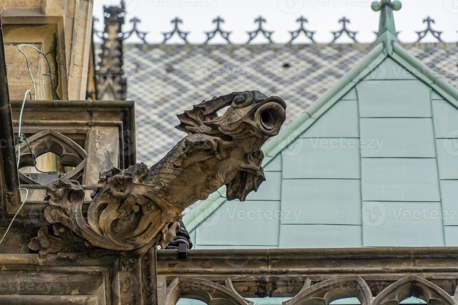 Praag koepel kaste heilige vitus kerk waterspuwer detal foto