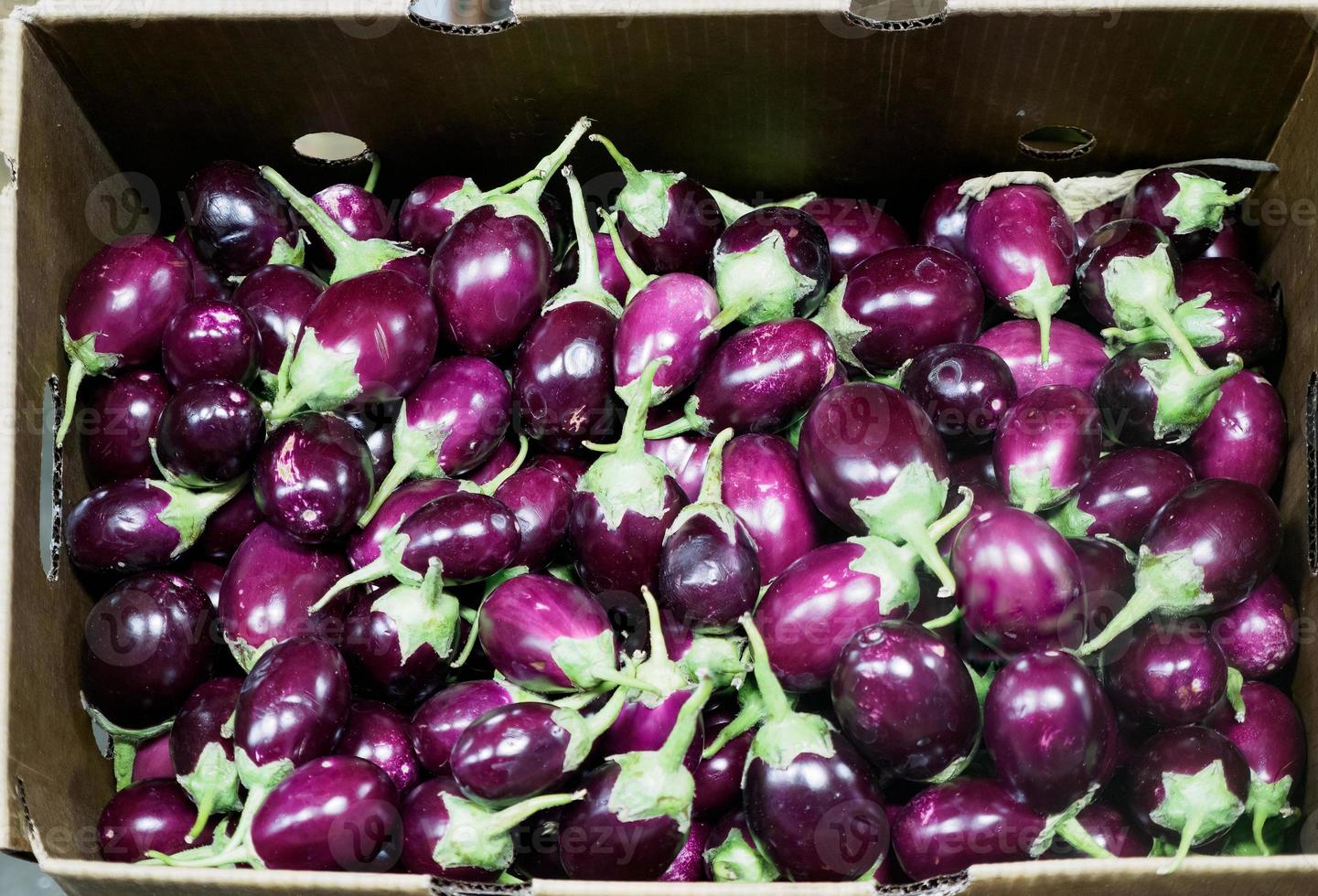 groente voor een gezond eetpatroon mini aubergine krat foto