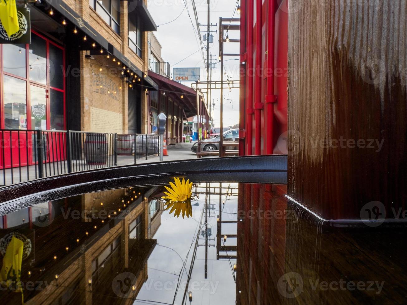 geel madeliefje drijvend in water met rood reflectie en lichten geregen overhead foto