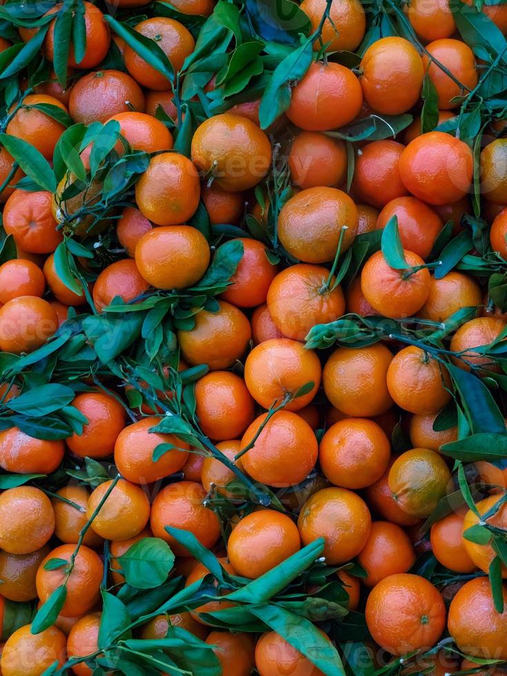 mandarijnen met groen bladeren, oranje mandarijn- biologisch foto