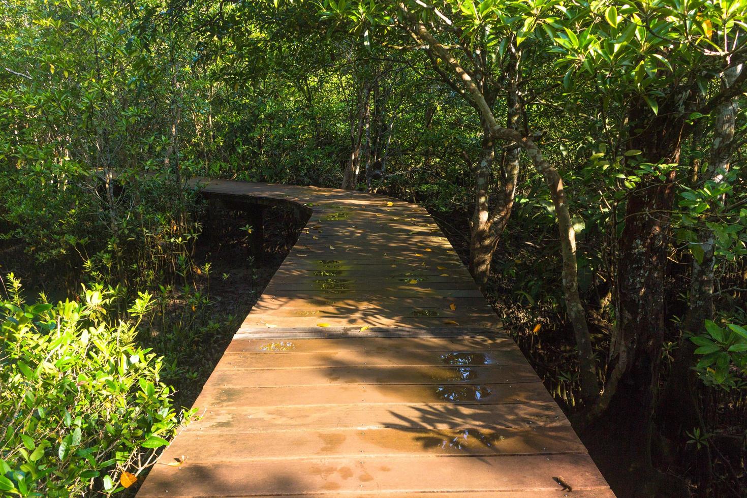 houten loopbrug in bos foto