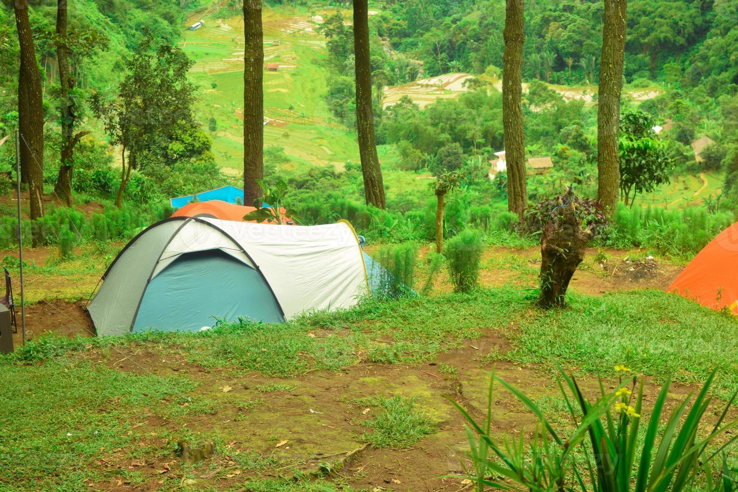 camping in de Woud. tent in de camping grond foto