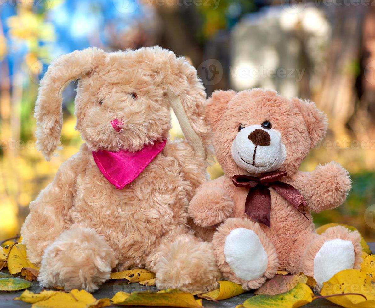 weinig teddy konijn met lang oren en een teddy beer zijn zittend in de midden- van droog geel bladeren foto