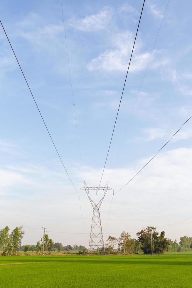 elektriciteitstransmissielijnen over de rijstvelden foto