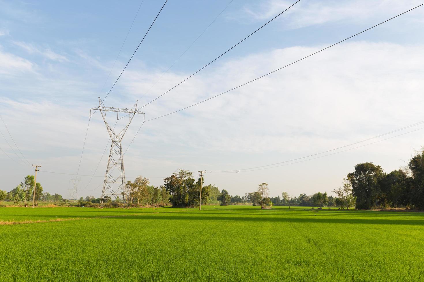 elektriciteitstransmissielijnen over de rijstvelden foto