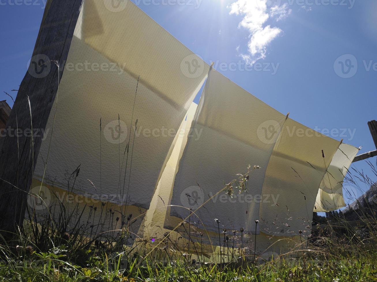 veel wit bed lakens drogen naar de zon foto