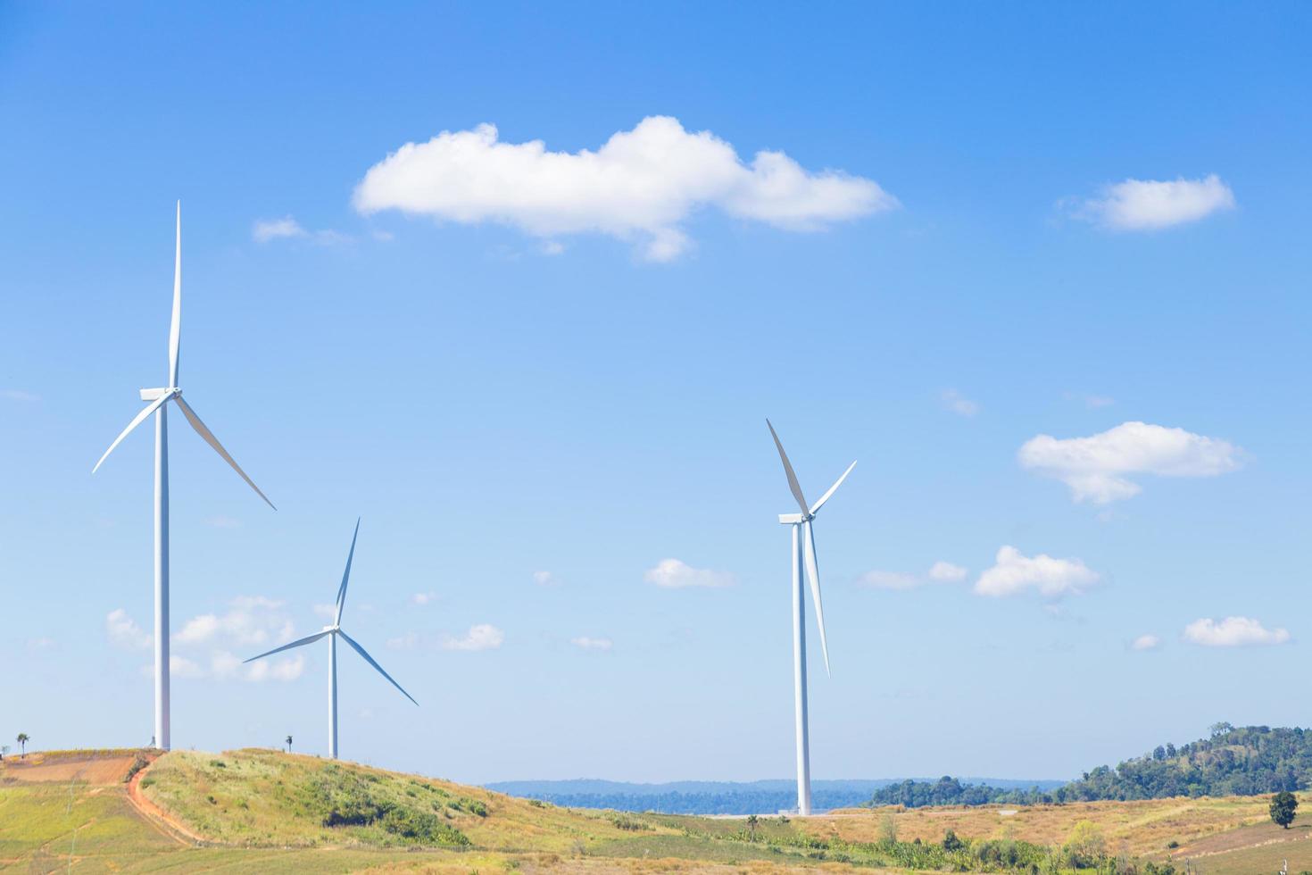 windturbines voor het opwekken van stroom foto