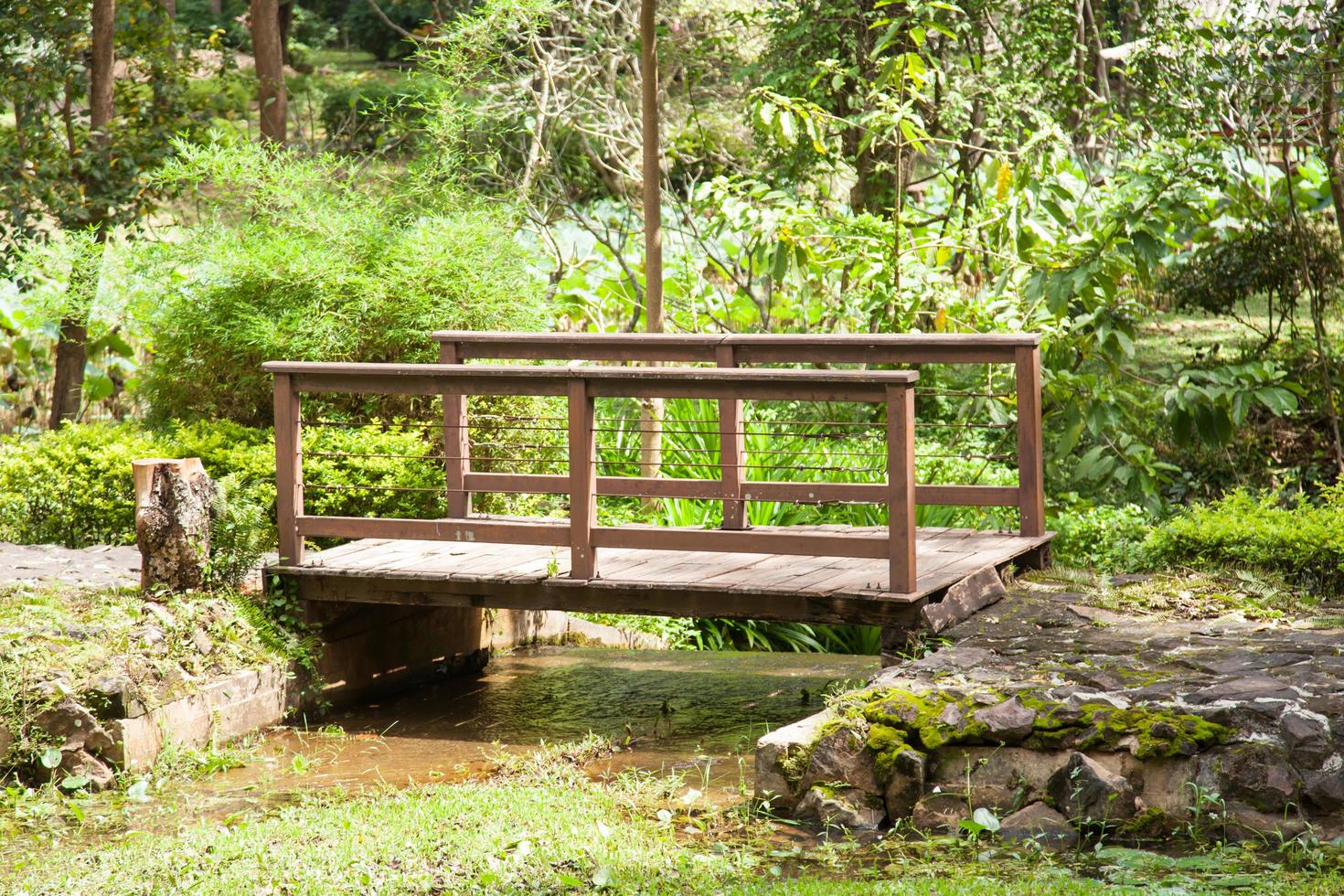 houten brug in een park in Thailand foto