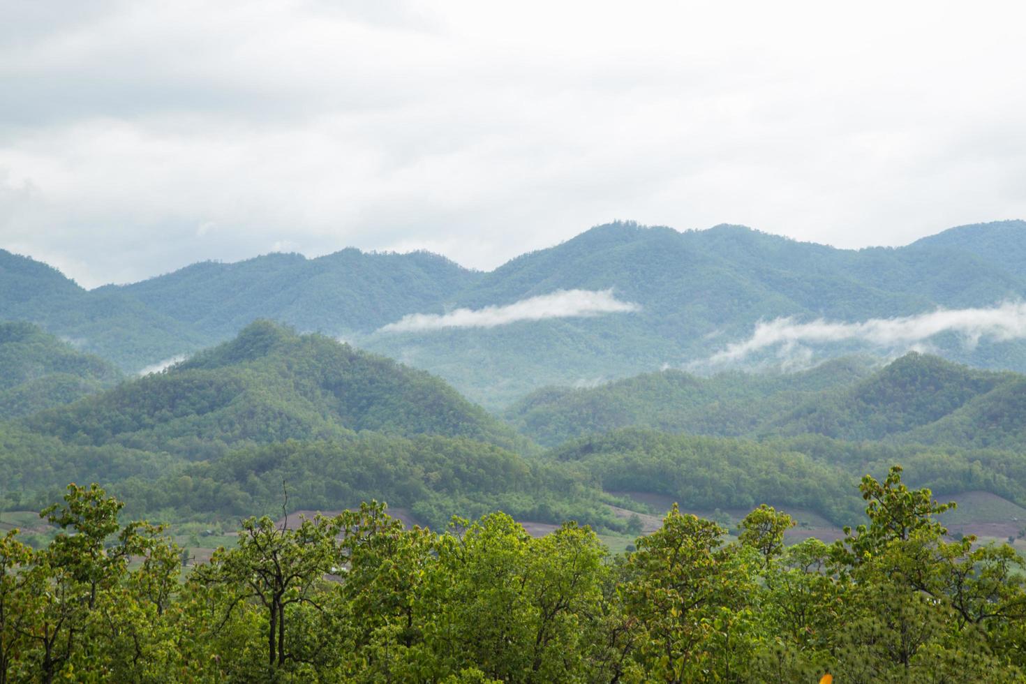 bergen en bossen in Thailand foto