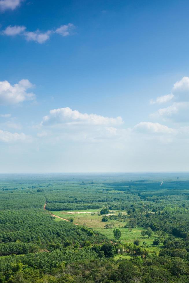 bos- en landbouwgebieden in Thailand foto