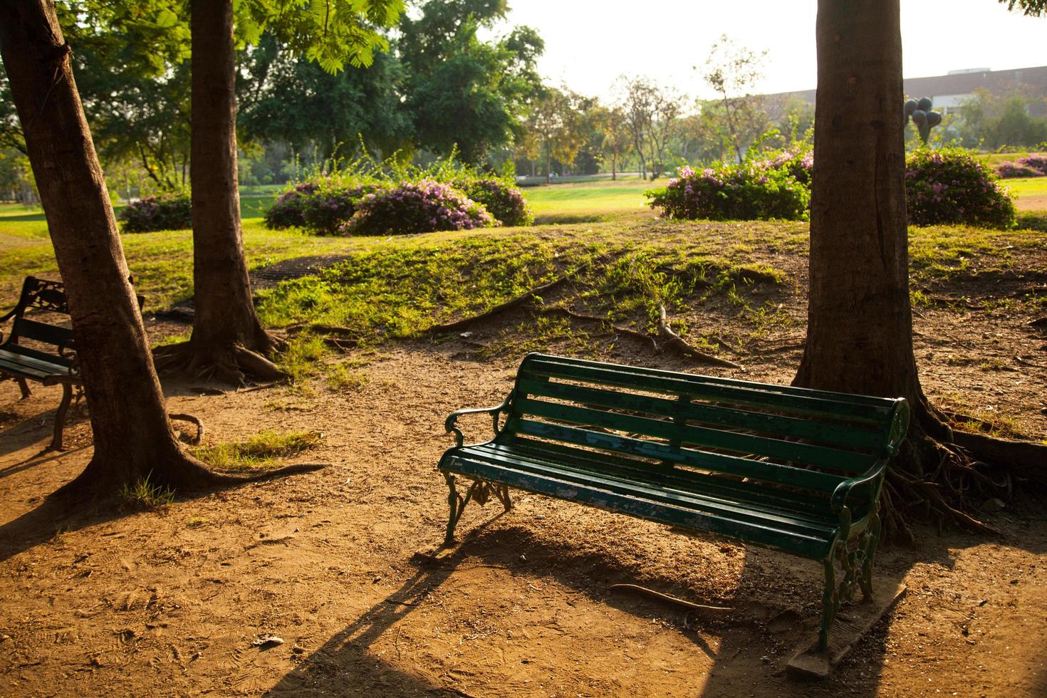 bankje in het park foto