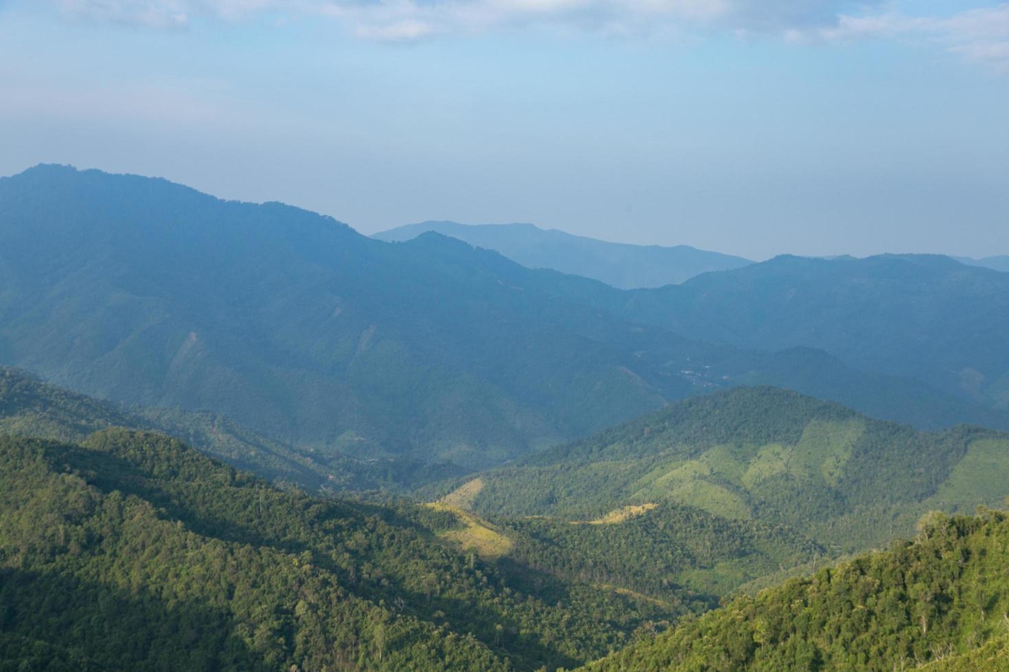 bos en bergen in Thailand foto
