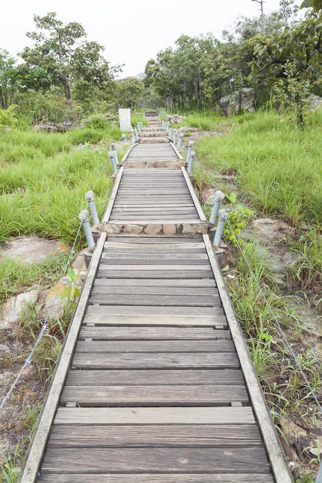 loopbrug die naar de berg leidt foto